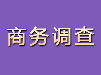 湖口商务调查